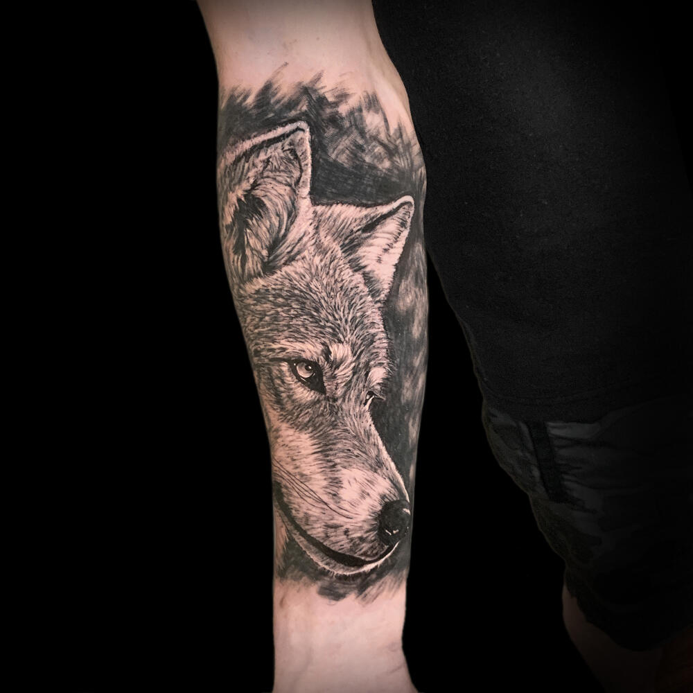 Wolf Tattoo Copyright 2024 Caleb Knobel